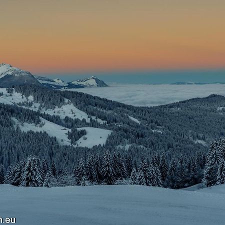 Samoens 1600 Studio Au Pied Des Pistes Εξωτερικό φωτογραφία