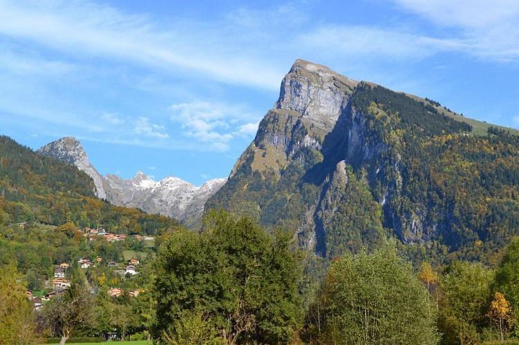 Samoens 1600 Studio Au Pied Des Pistes Εξωτερικό φωτογραφία